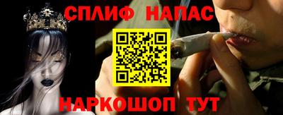 СК Партизанск