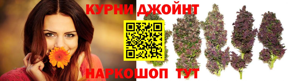 Бошки Шишки планчик  Североуральск  Каннабис марихуана  Конопля THC 21% 